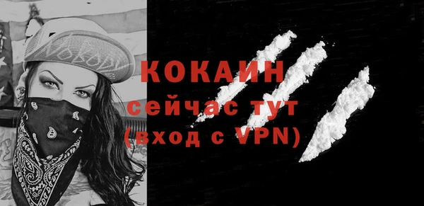 гидра Майский