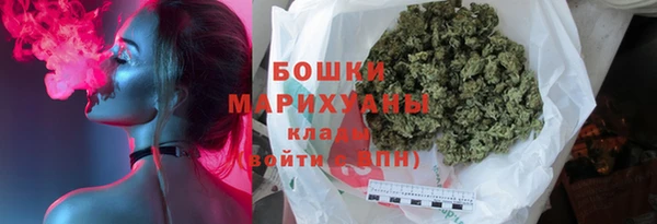 ПСИЛОЦИБИНОВЫЕ ГРИБЫ Магас