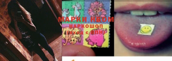 гидра Майский