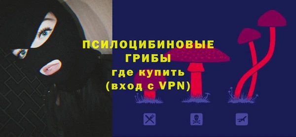 дурь Медвежьегорск