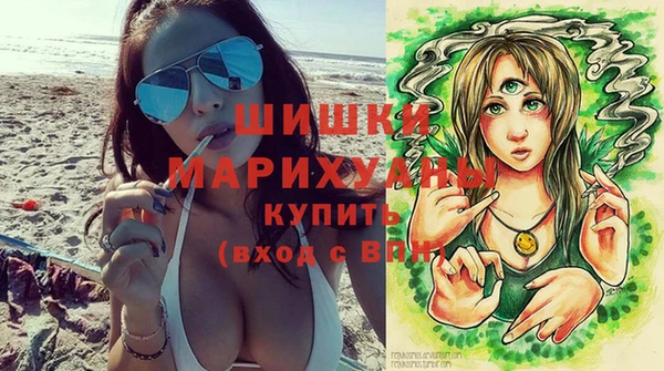 ПСИЛОЦИБИНОВЫЕ ГРИБЫ Магас