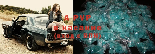 гидра Майский