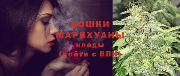 ПСИЛОЦИБИНОВЫЕ ГРИБЫ Магас