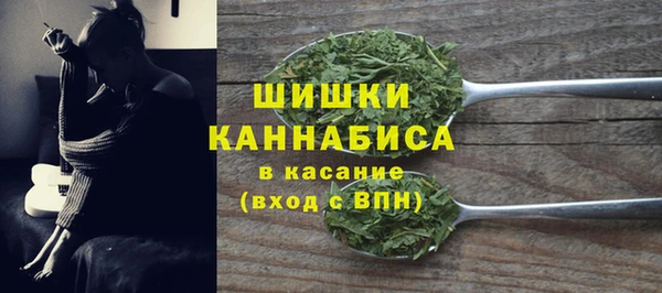гидра Майский