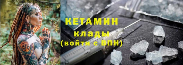 гидра Майский
