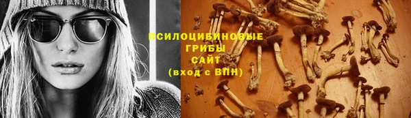гидра Майский