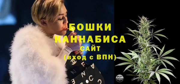 ПСИЛОЦИБИНОВЫЕ ГРИБЫ Магас